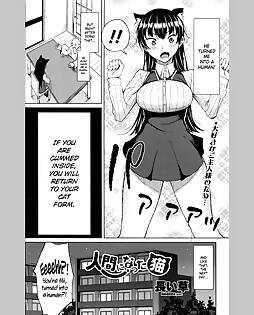 book #14164 preview image