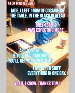 book #17610 preview image